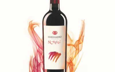 Novello – San Martino ogni mosto diventa vino…