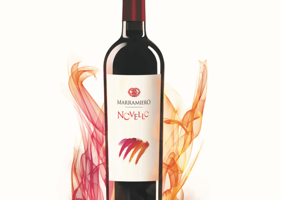 Novello – San Martino ogni mosto diventa vino…